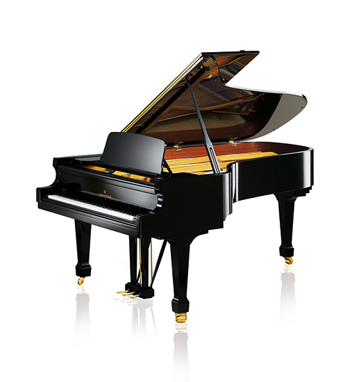 C.Bechstein Academy A 228