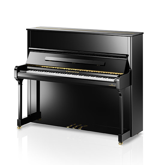 C.Bechstein Residence R 6 Style