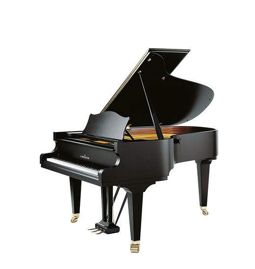 C.Bechstein Concert A 192 (M/P 192)