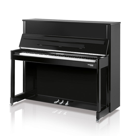 W.Hoffmann Professional P 120