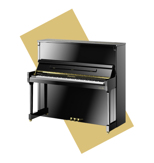 Zimmermann S 8