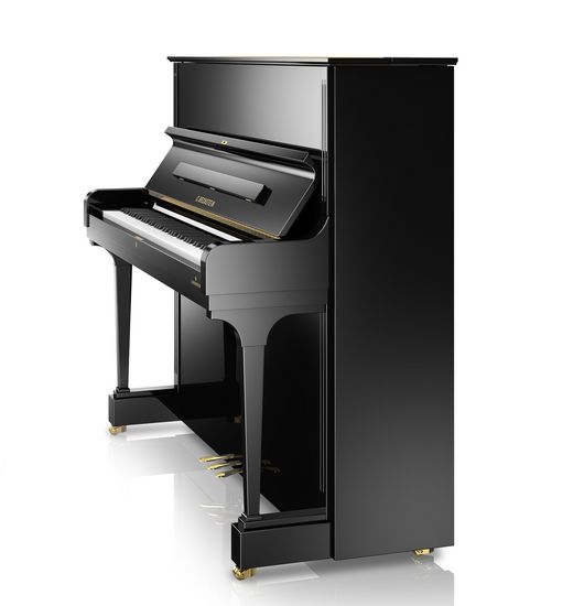 C.Bechstein Concert C6