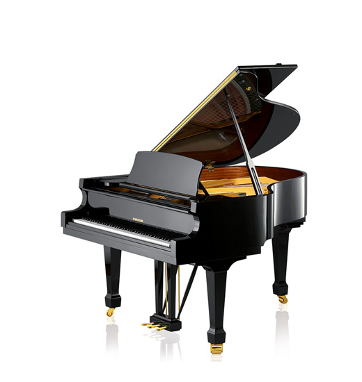 W.Hoffmann Tradition T 177