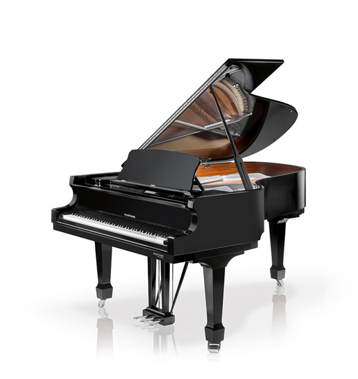 W.Hoffmann Professional P 162