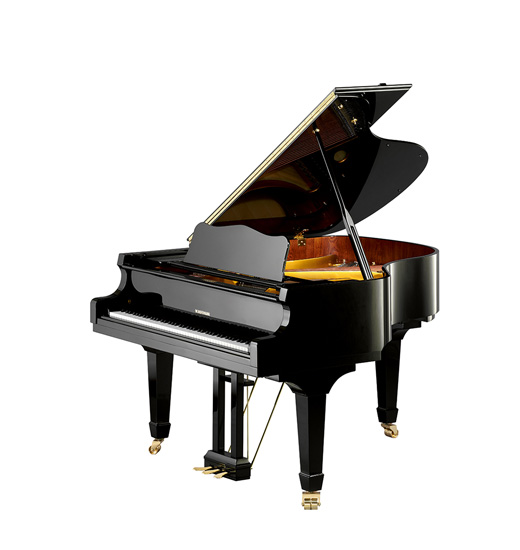 W.Hoffmann Vision V 175
